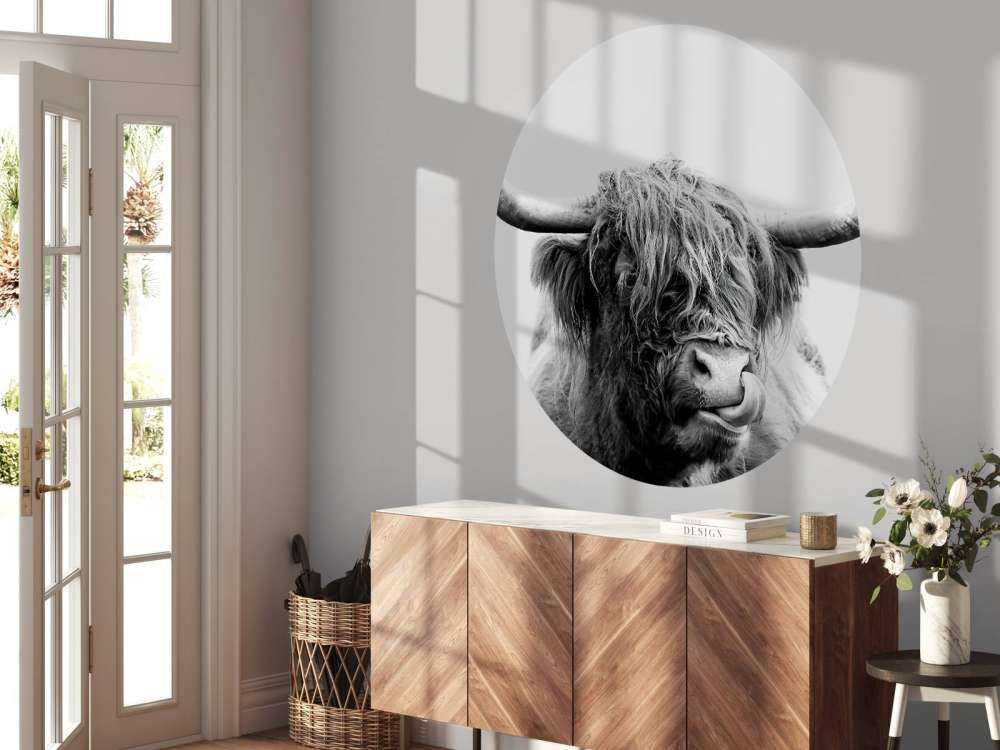 Divertente Highlander scozzese