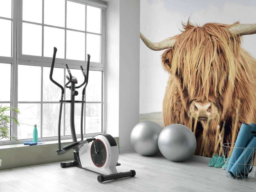 Primo piano di un Highlander scozzese