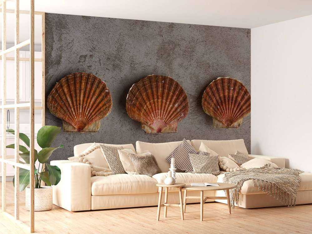 Tre conchiglie