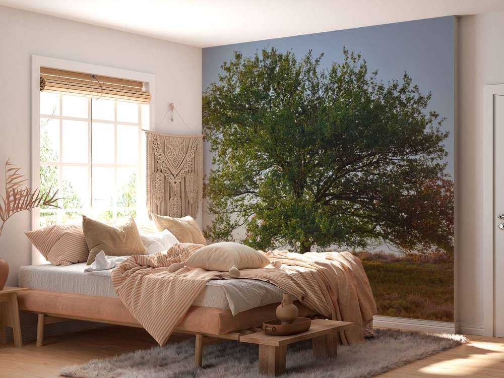 Albero solitario sulla brughiera