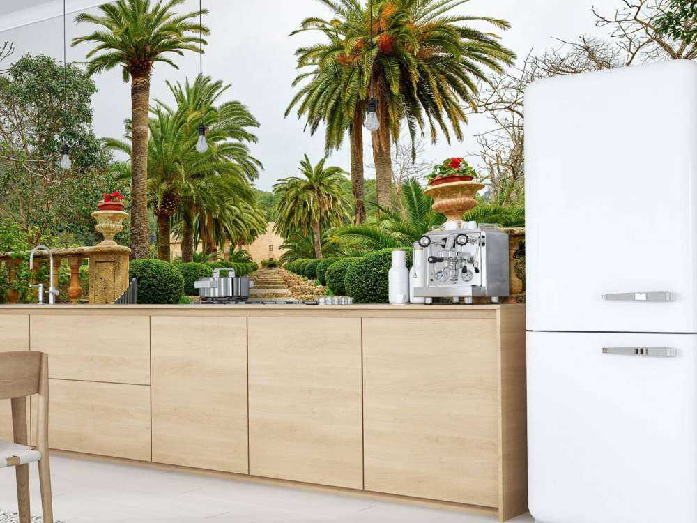 Palme lungo i gradini di pietra