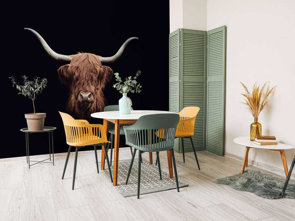 Highlander scozzese d'epoca