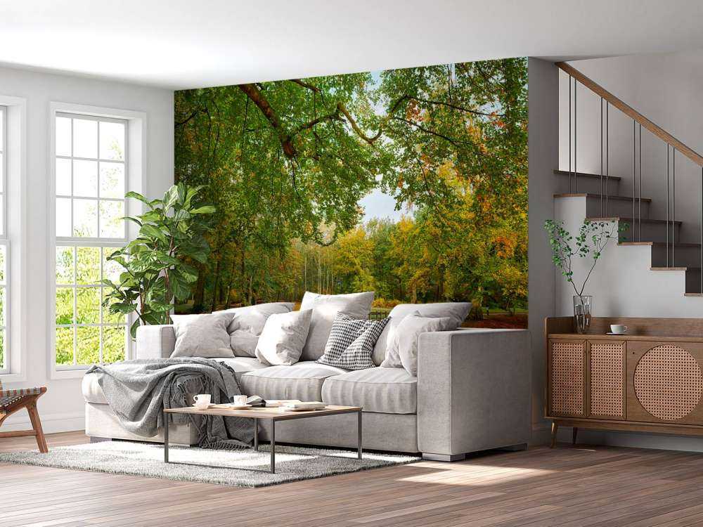 Ponte in una grande foresta