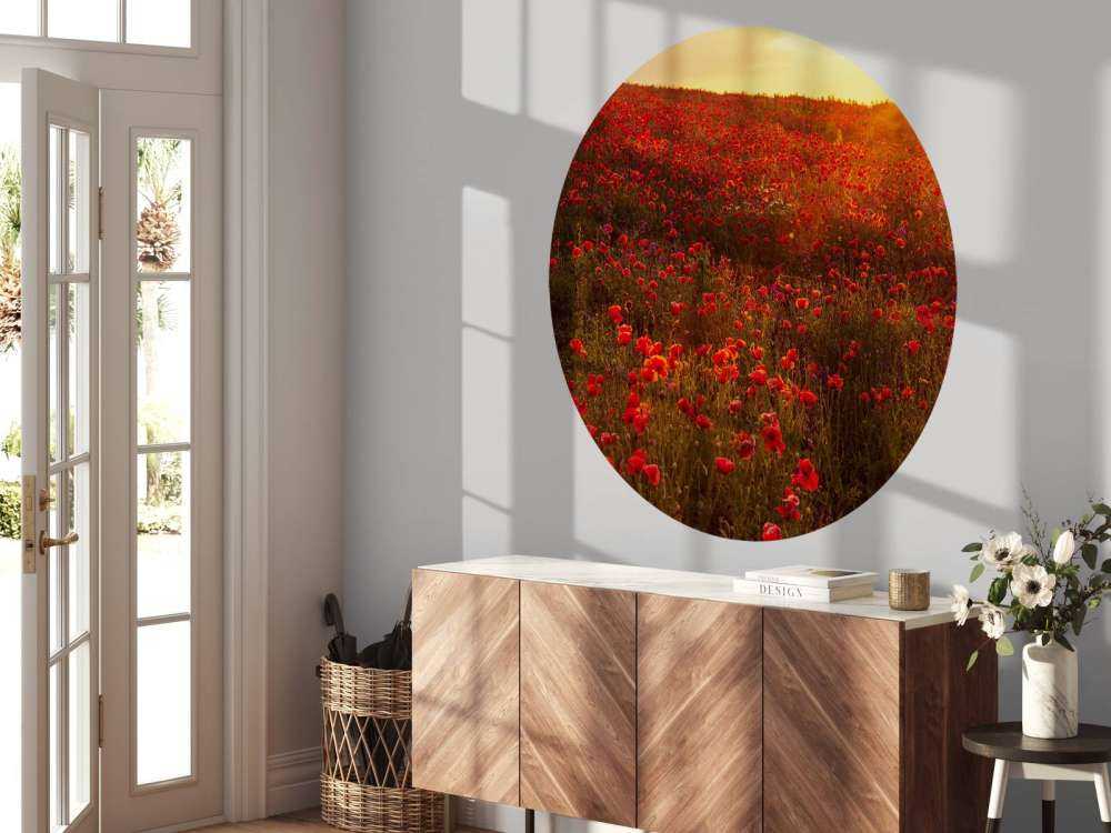 Papaveri su una collina