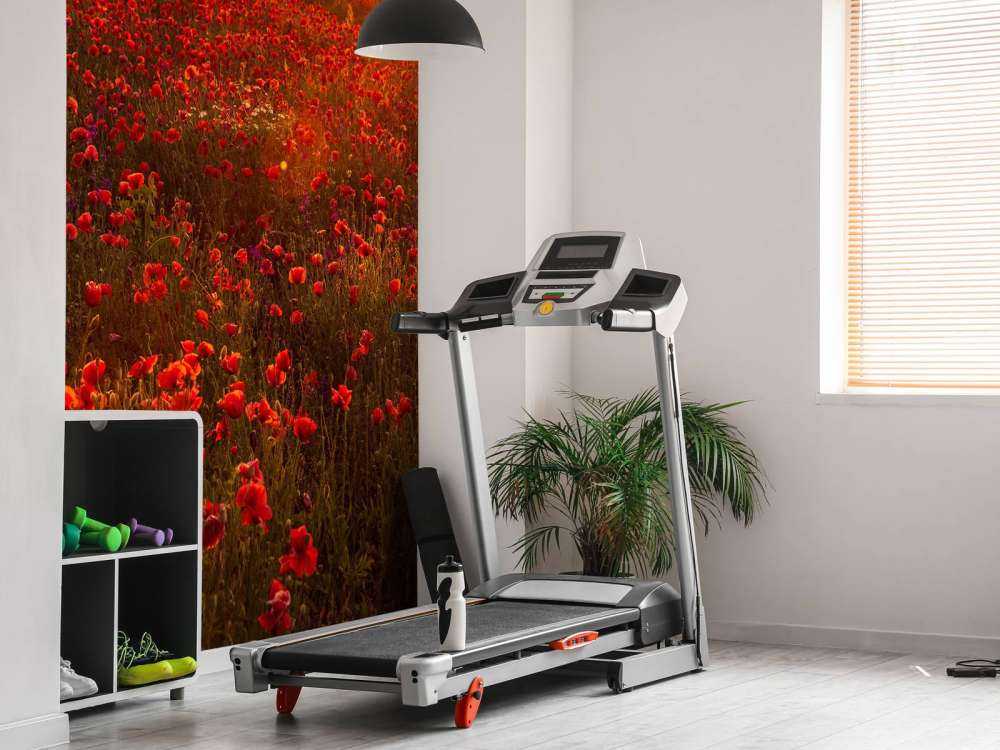 Papaveri su una collina