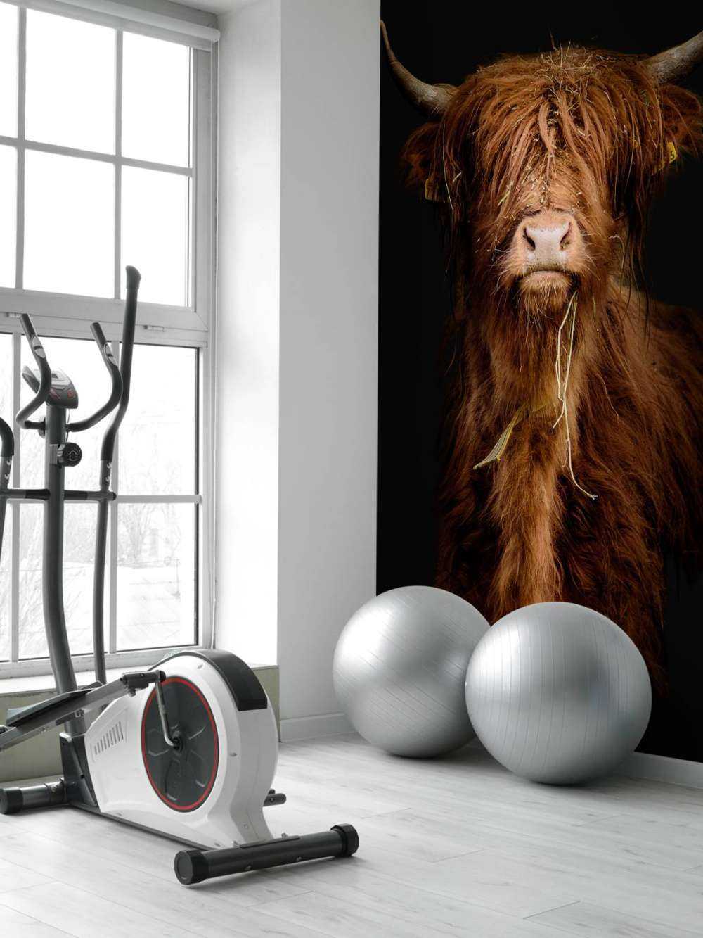 Ritratto scozzese Highlander