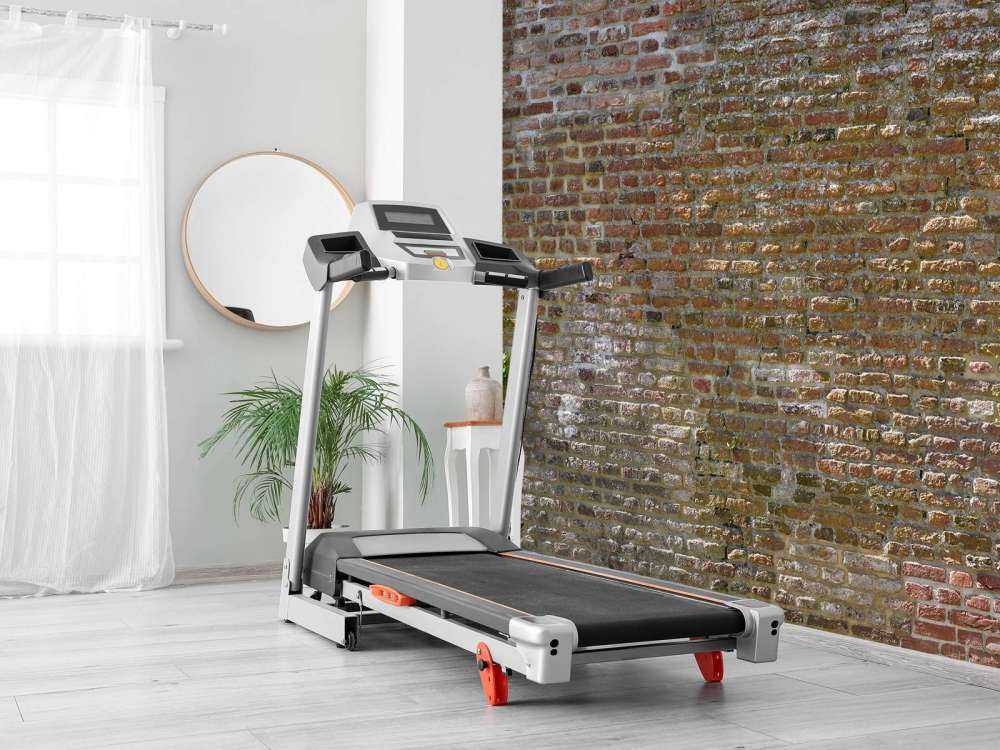 Vecchio muro di cinta in pietra con piante