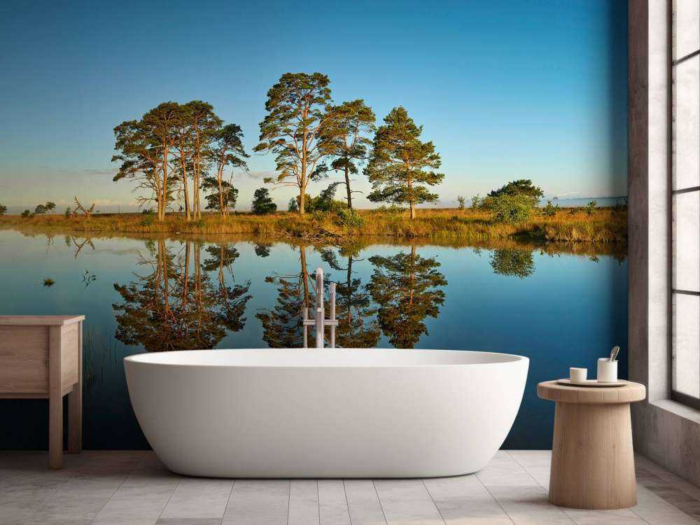 Riflessione nel lago della foresta