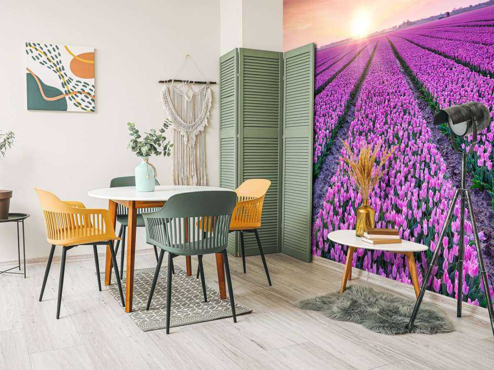 Campo di tulipani all'alba