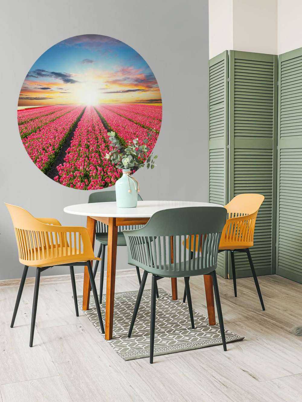 Tulipani con il sole nascente