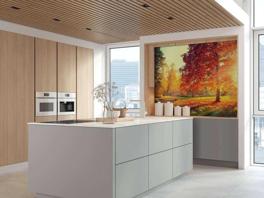 Alberi d'autunno alla luce del sole