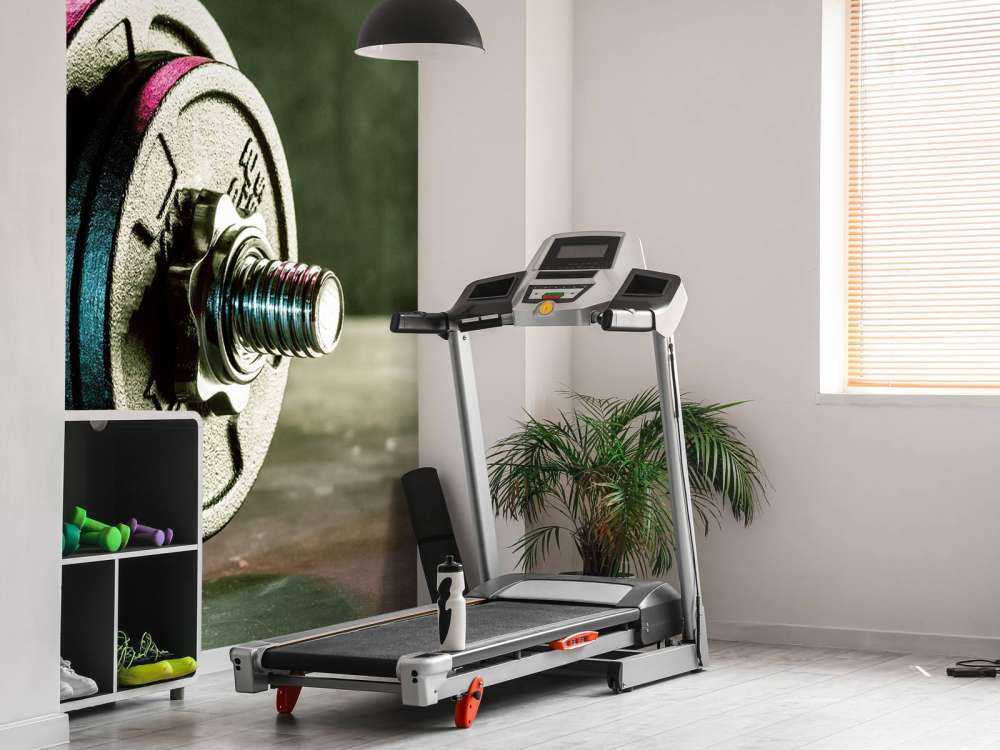 Fitness Sports Dumbell Fitness