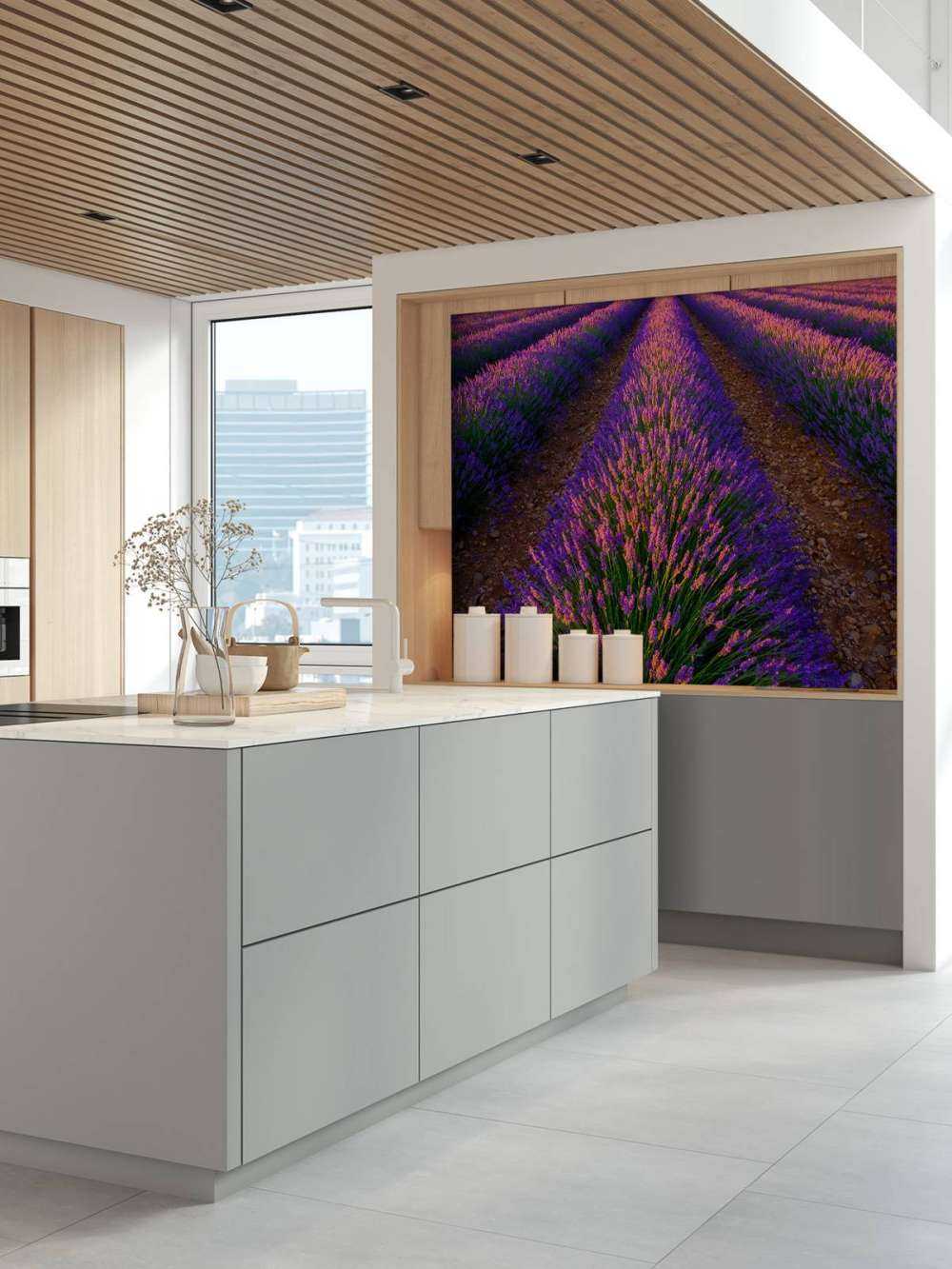 Lavanda alla luce del sole