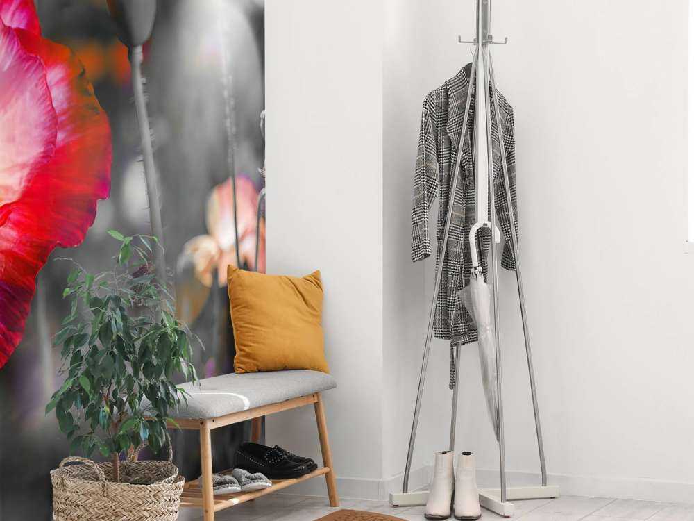 Papaveri in nero, bianco, rosso e nero