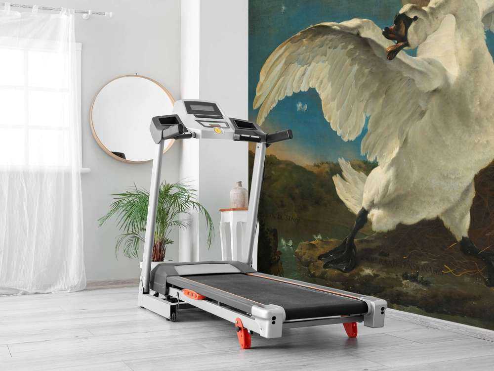 Il cigno in pericolo di estinzione