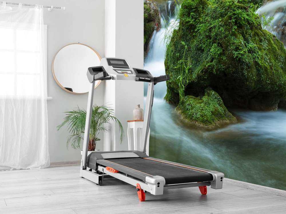 Cascata nella foresta