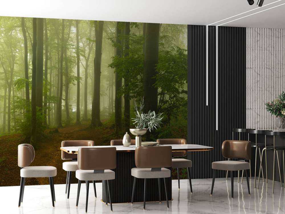 Sentiero attraverso la foresta verde nebbioso