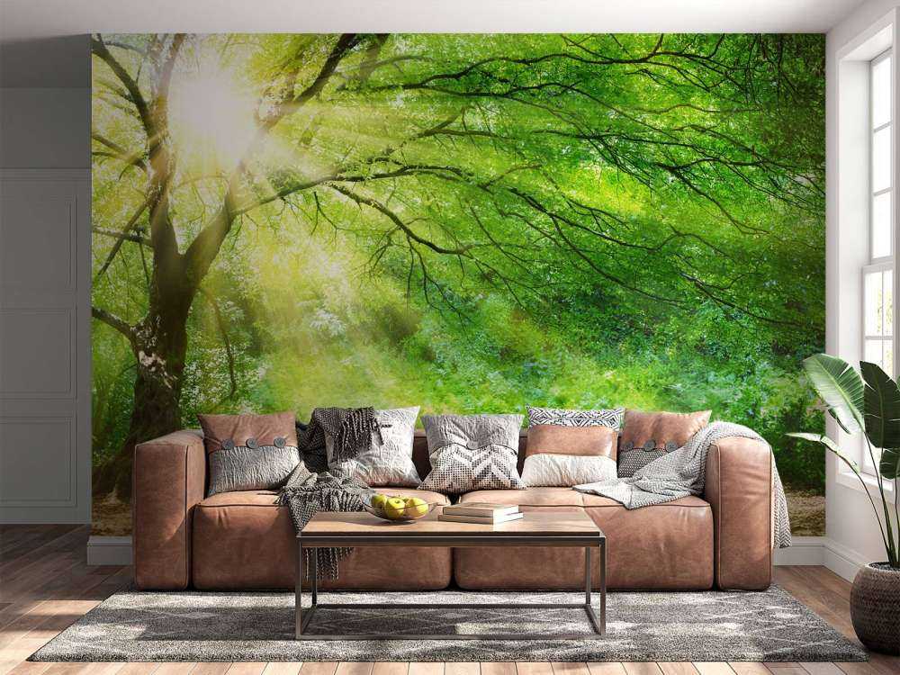 Grande albero con sole