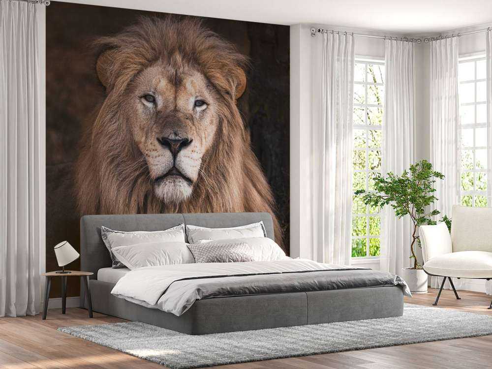 Ritratto di un leone