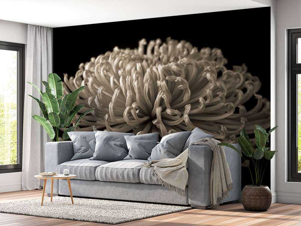 Grande fiore di cosmo