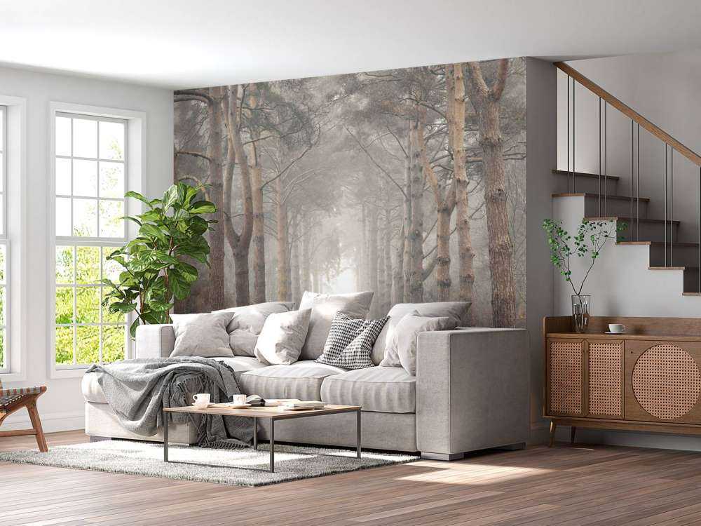 Foresta nella nebbia