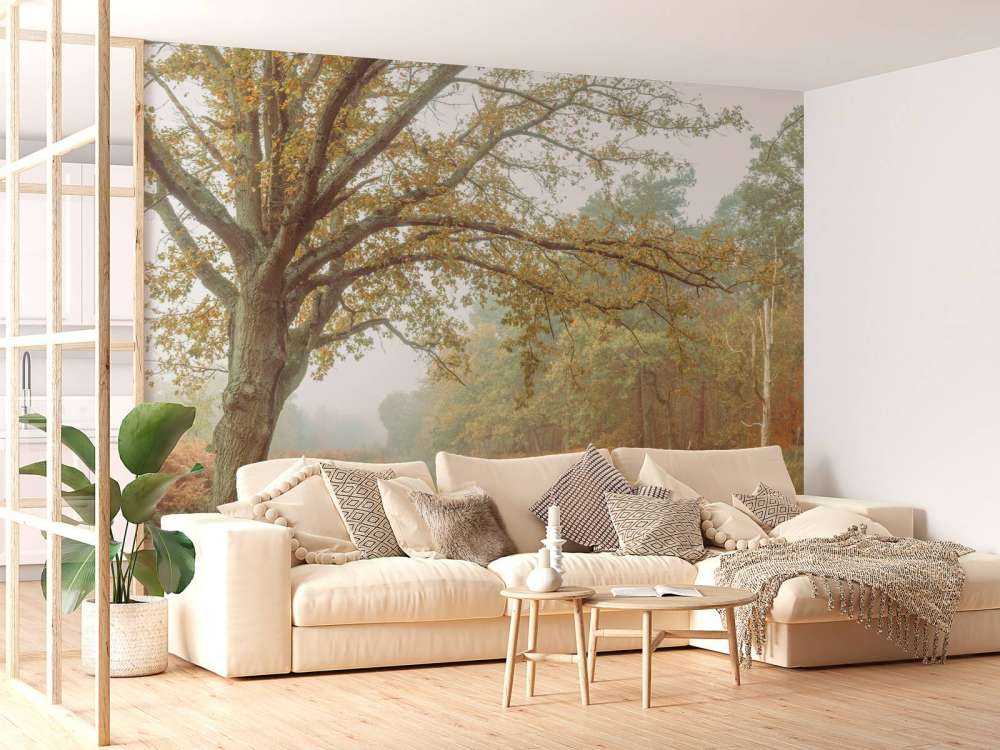 Lago nella foresta autunnale