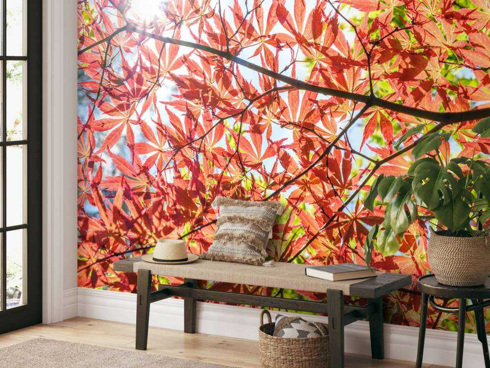 Foglie rosse d'autunno