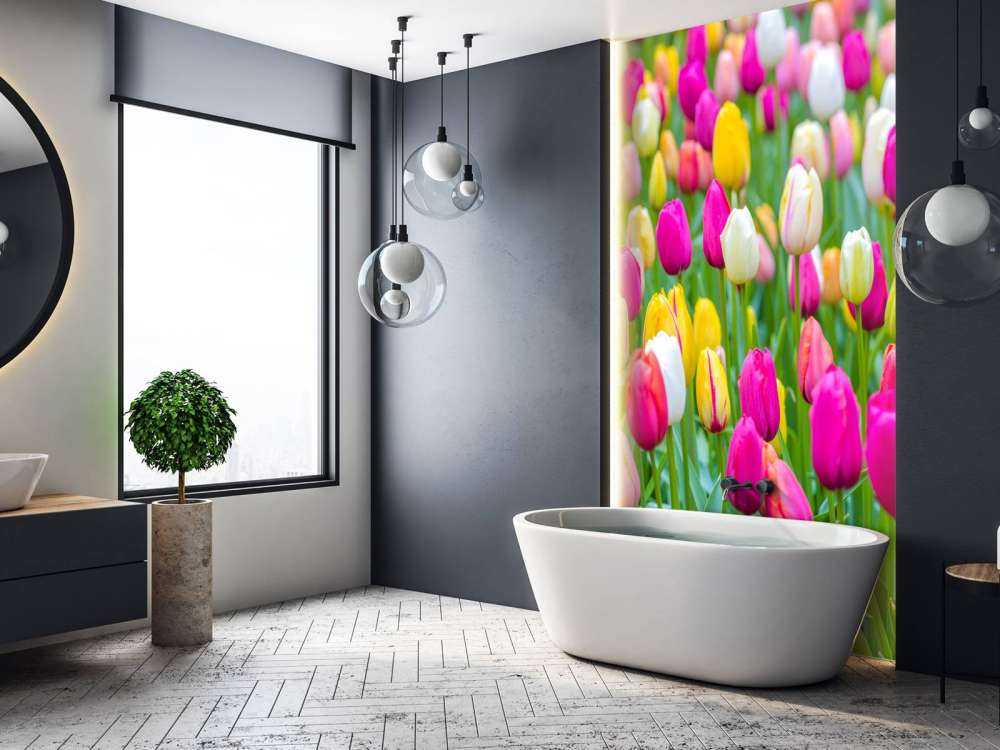 Tulipani colorati in un campo