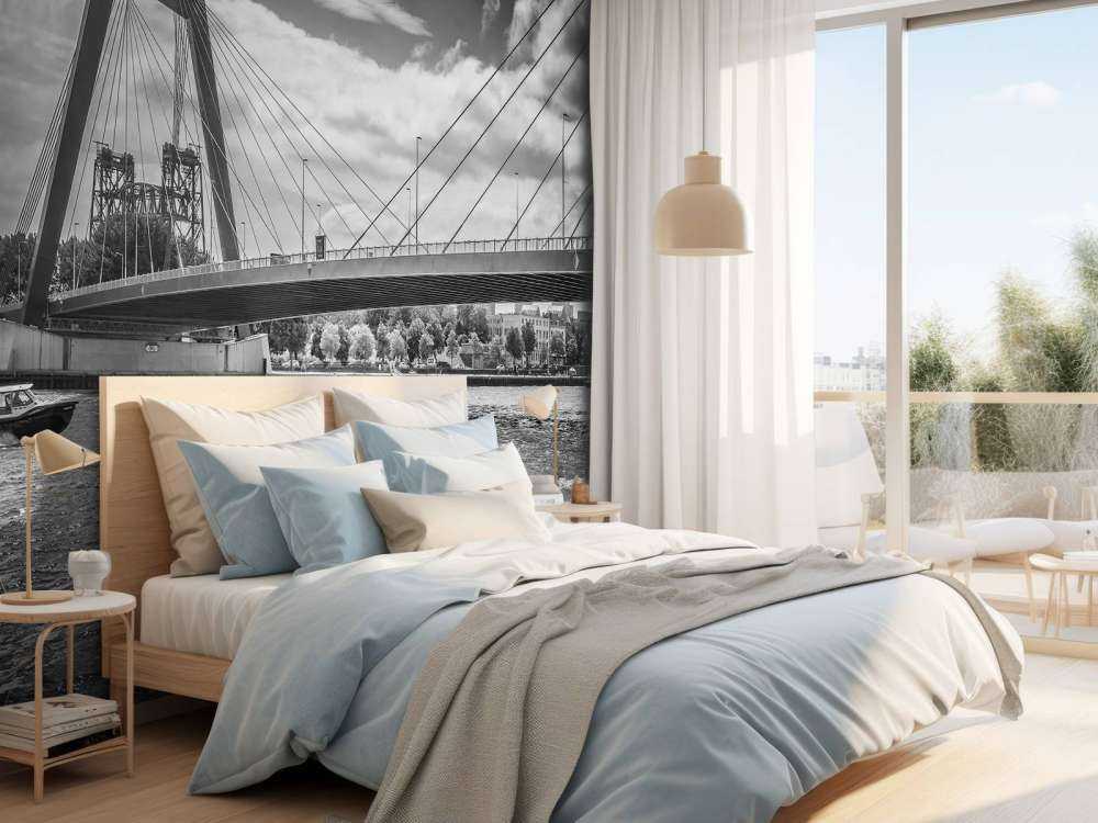 Passaggio del ponte Principe Willem Alexander a Rotterdam in bianco e nero