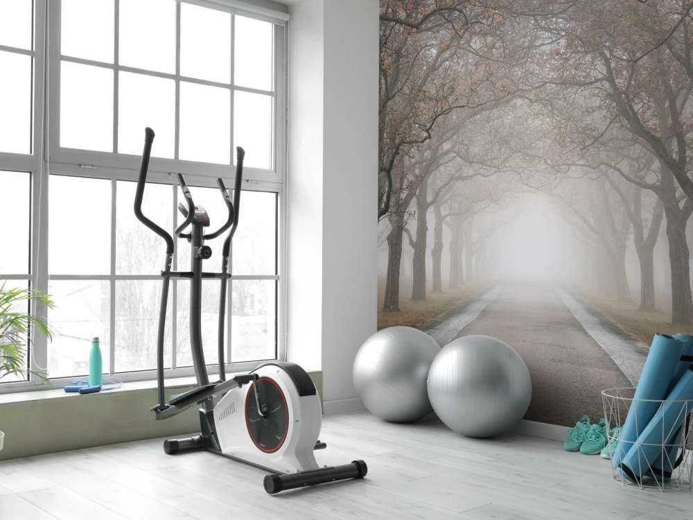 Strada con alberi secolari