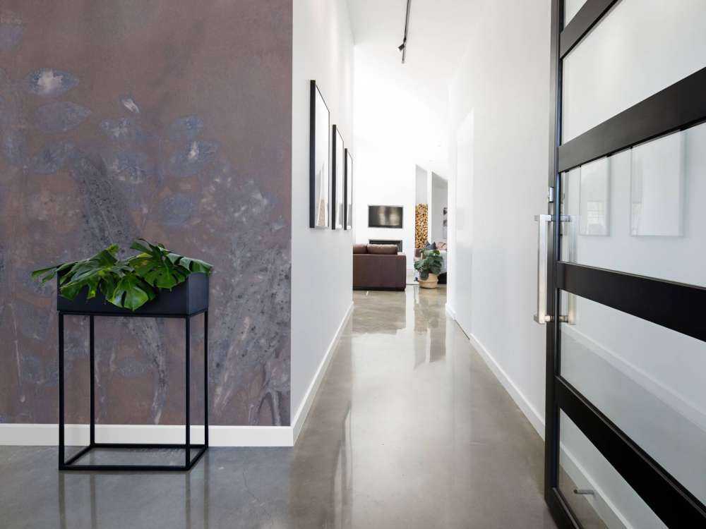 Schapenzuring e salice arbustivo - melanzana