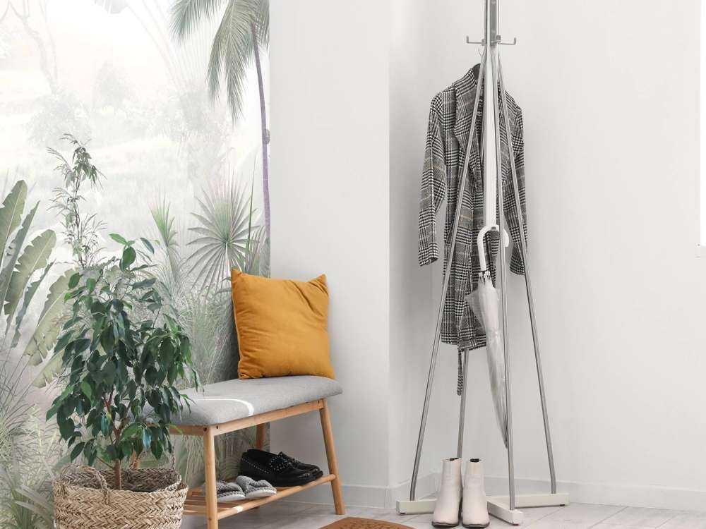 Mattina Nebbiosa nella Giungla