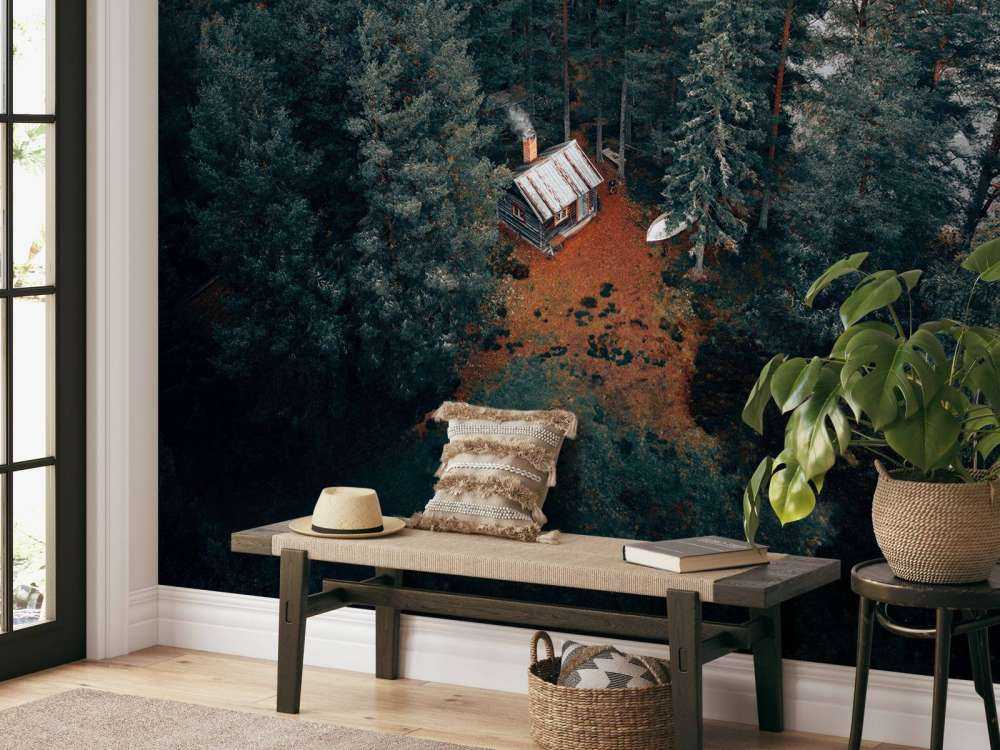 Capanna circondata da foresta e laghi