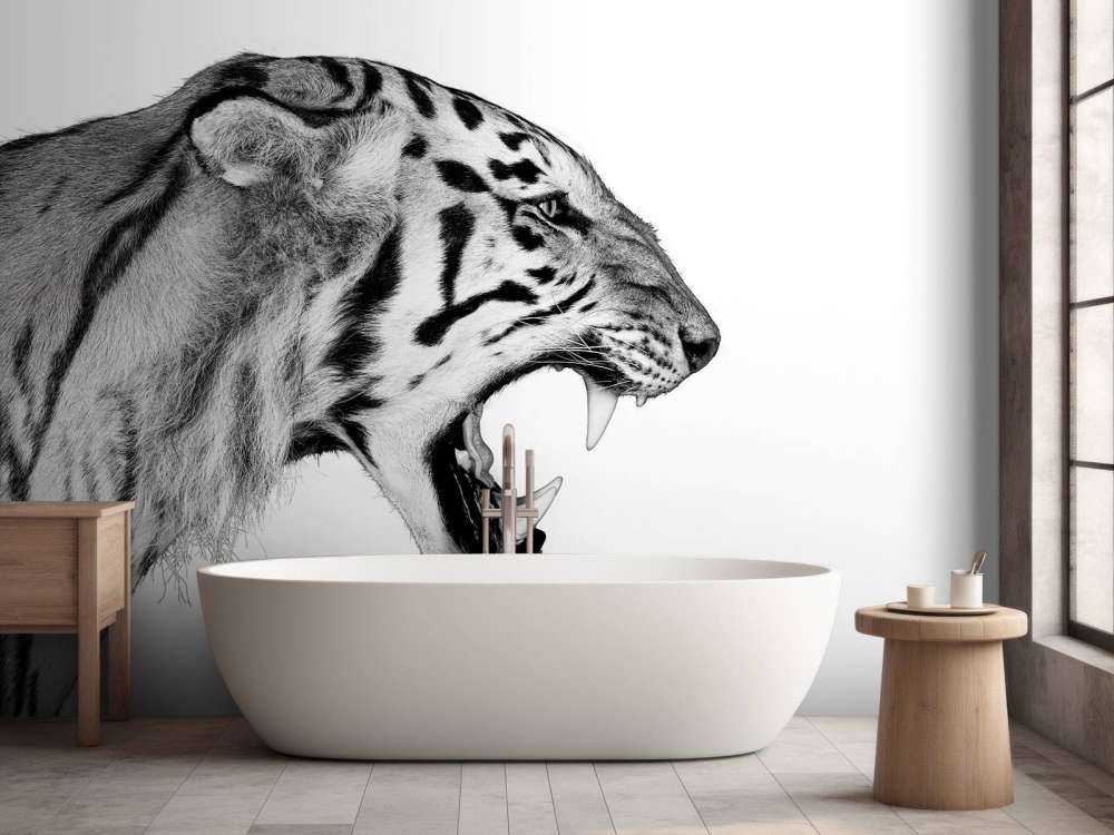 Tigre ruggente bianca