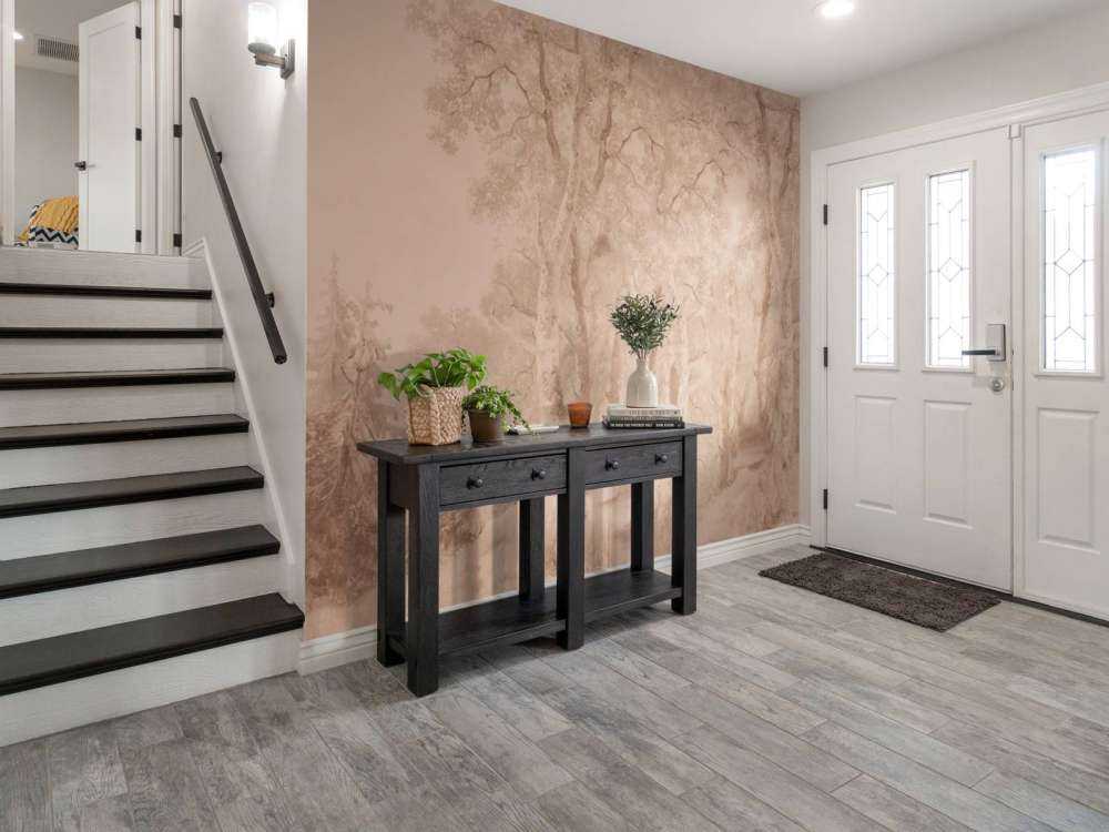 Paesaggio Forestale Terra Panorama