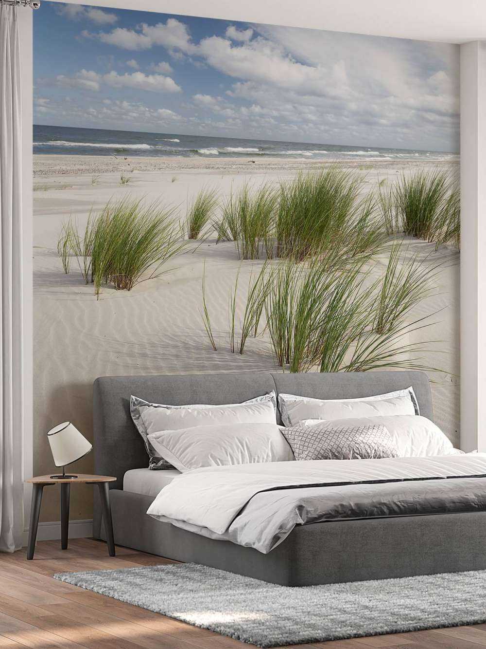 Spiaggia con piante di duna