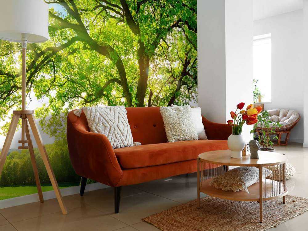 Albero con raggi di sole