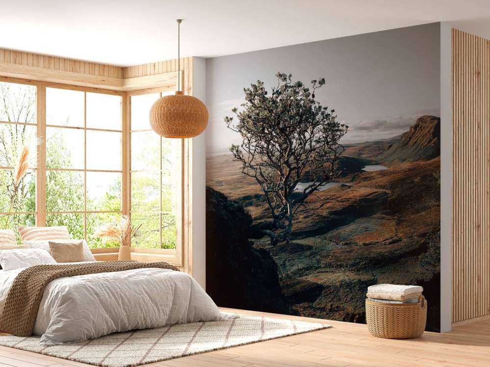 L'inizio della giornata