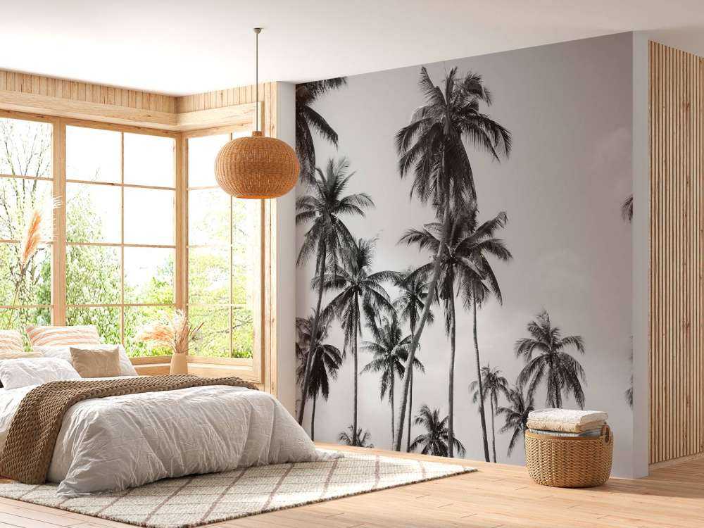 Palme in bianco e nero