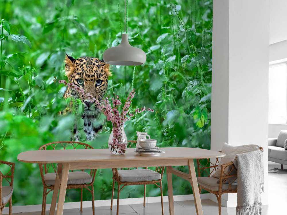 Leopardo nella foresta