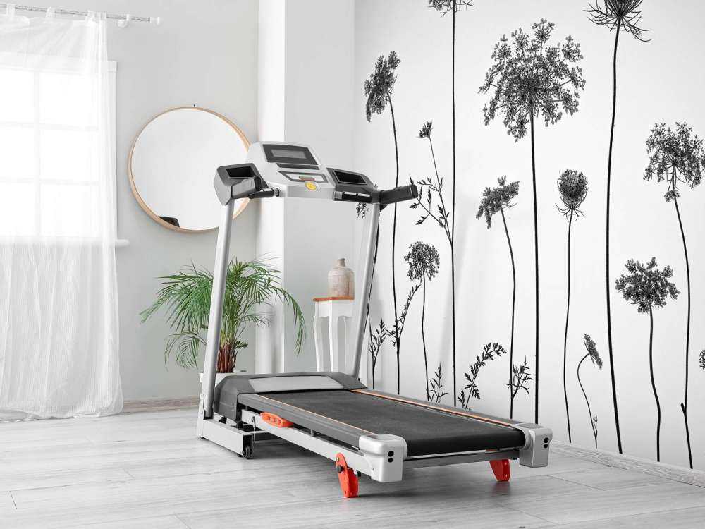 Prezzemolo di mucca in bianco e nero