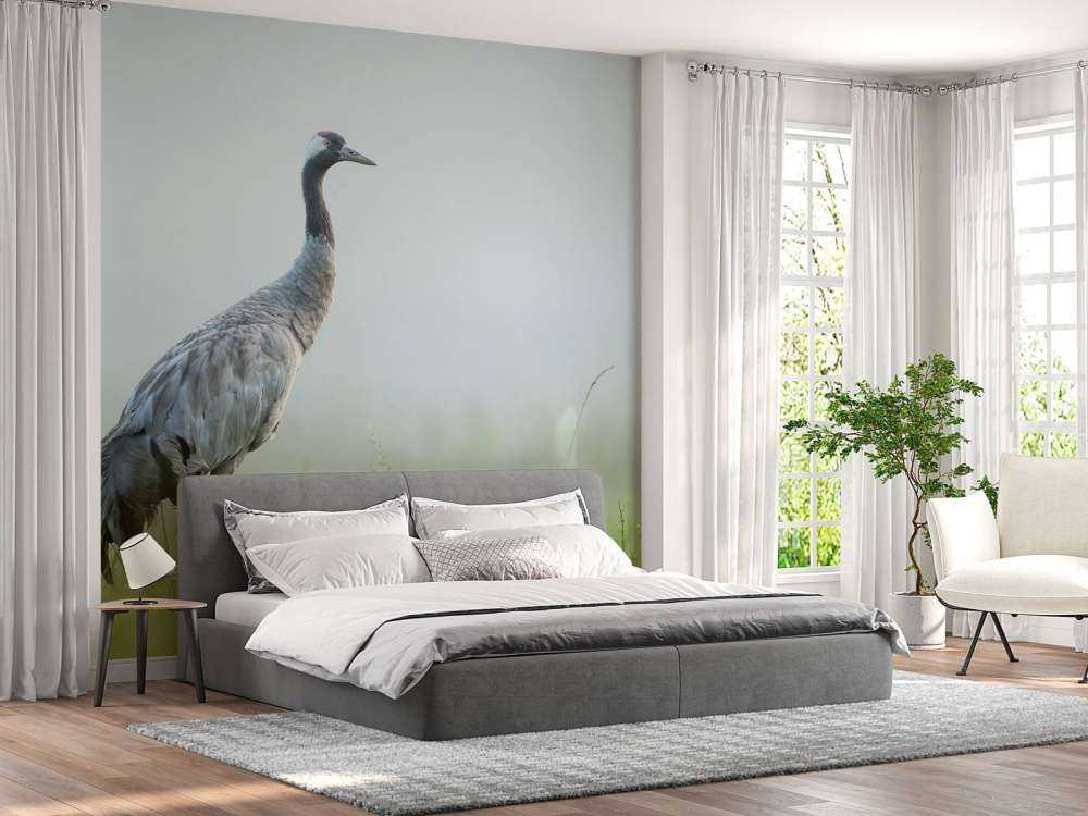 Gru nella nebbia del mattino