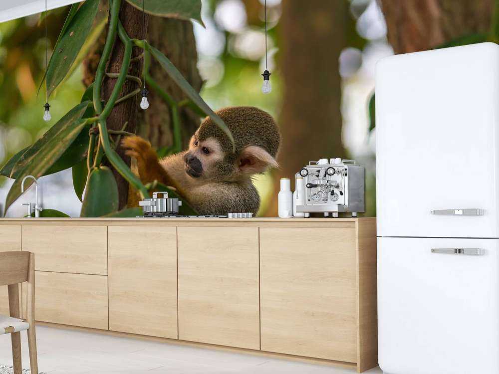 Piccola scimmia tra gli alberi