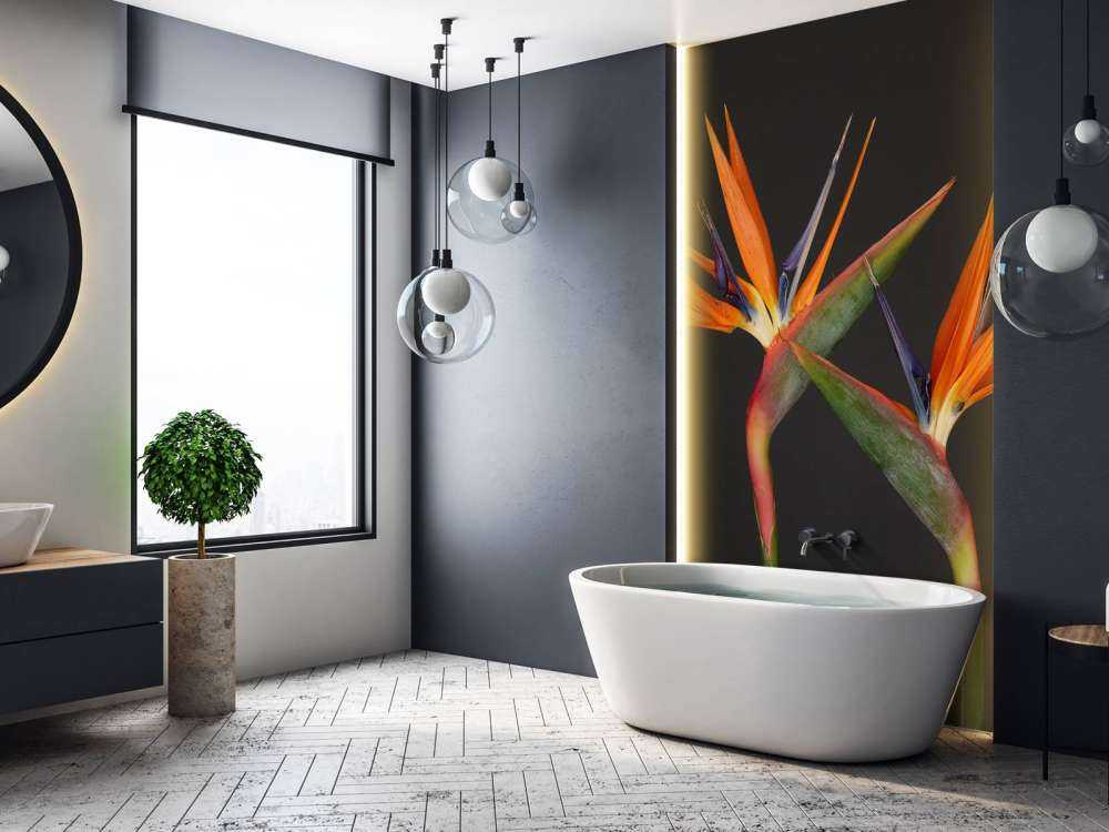 Fiori di uccello del paradiso