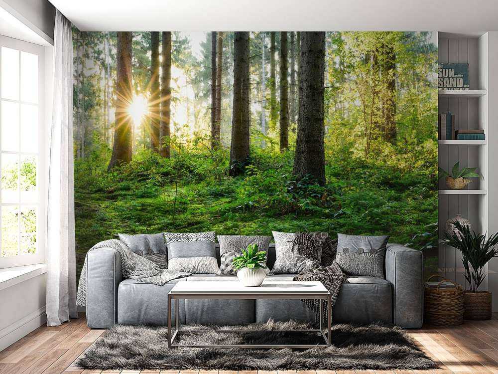 Panorama della foresta in primavera