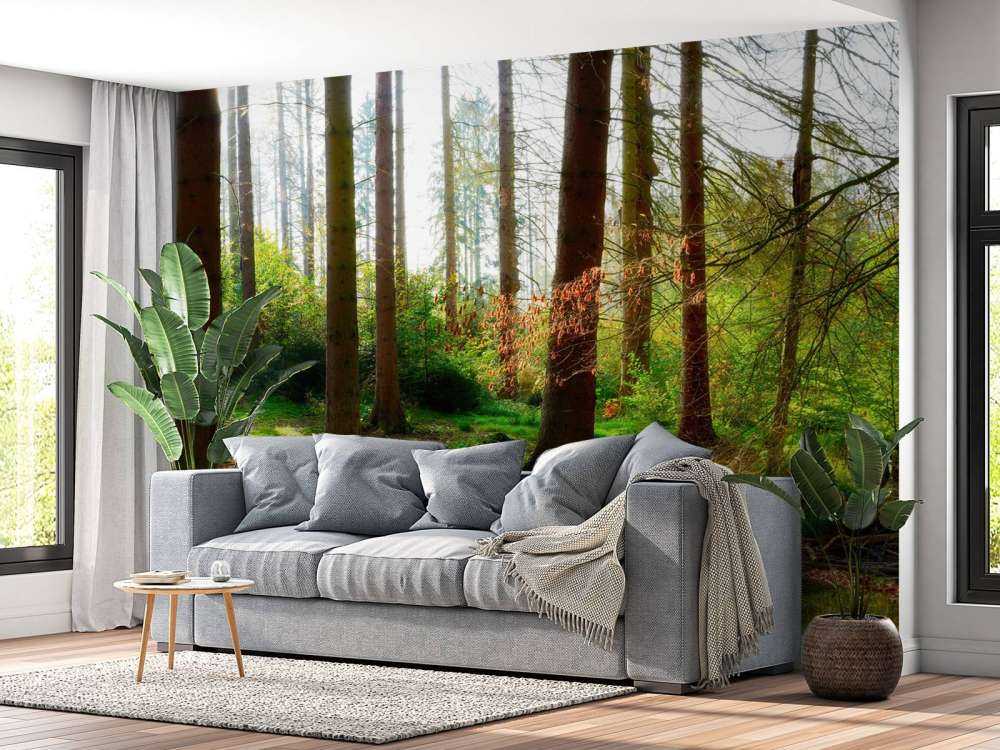 Foresta autunnale con luce solare brillante