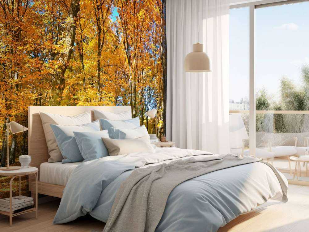 Autunno nella foresta