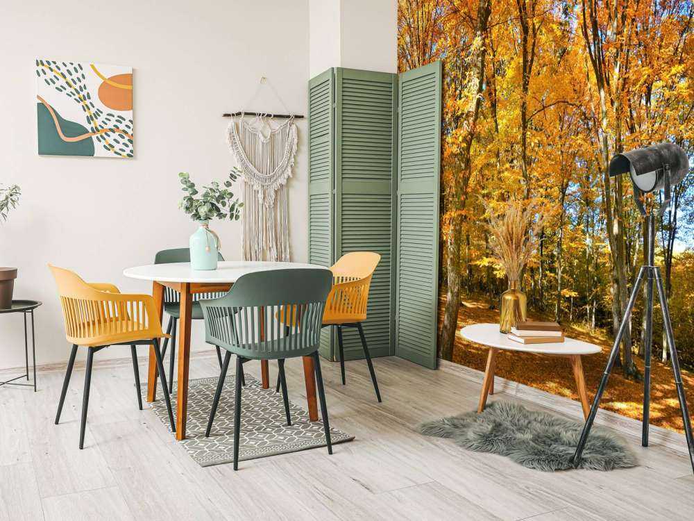 Autunno nella foresta