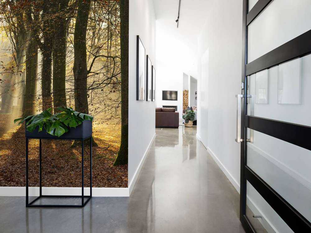 La foresta di Crécy