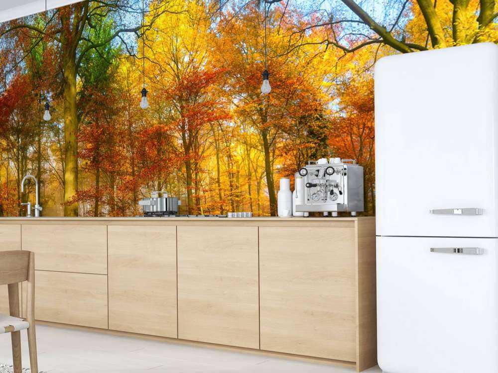 Panorama della foresta colorata